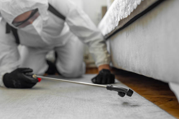Professional Cockroach Control technician working in Four Bridges, OH
