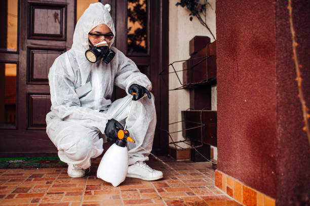Reliable Cockroach Control contractor in Four Bridges, OH by Nex Pest Control